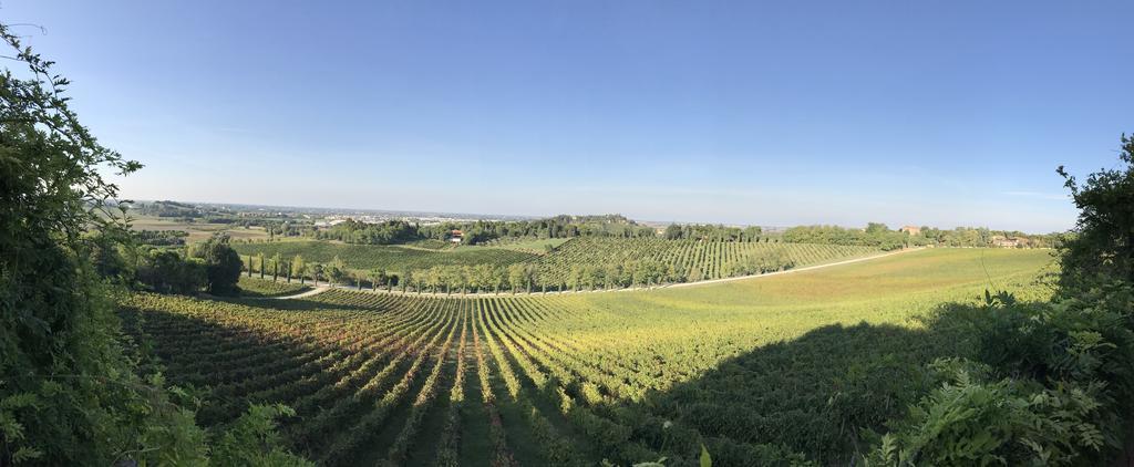 Fattoria Paradiso Bertinoro Ngoại thất bức ảnh